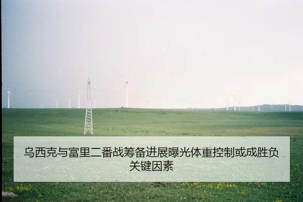 乌西克与富里二番战筹备进展曝光体重控制或成胜负关键因素