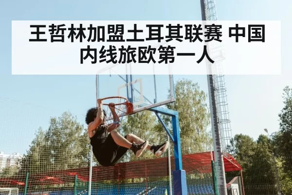 王哲林加盟土耳其联赛 中国内线旅欧第一人