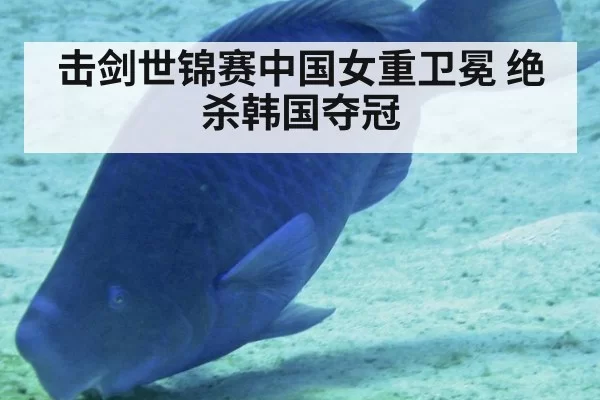 击剑世锦赛中国女重卫冕 绝杀韩国夺冠